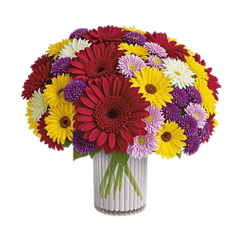 Petal Radiance Bliss