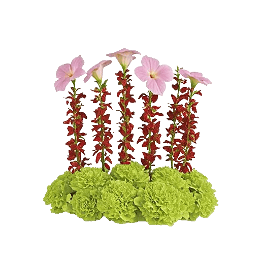 Delicate Petal Cascade