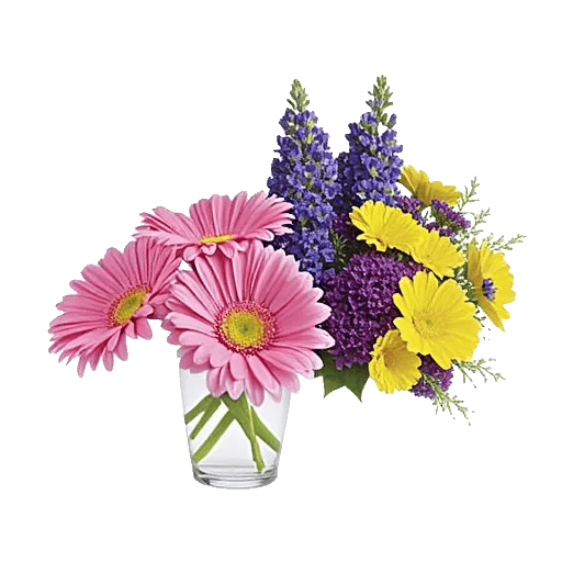 Petal Radiance Bliss