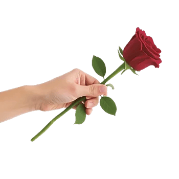 Crimson Rose Elegance