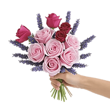 Pink Pastel Roses
