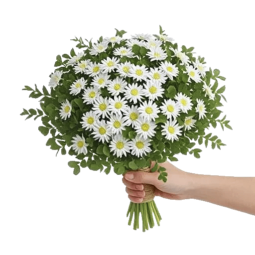 Minimalist White Orchids