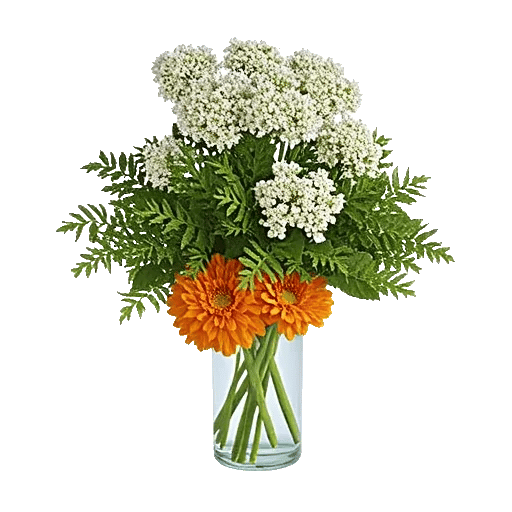 Ivory Blossom Radiance