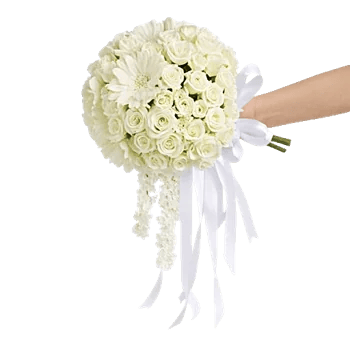 Delicate Petal Cascade