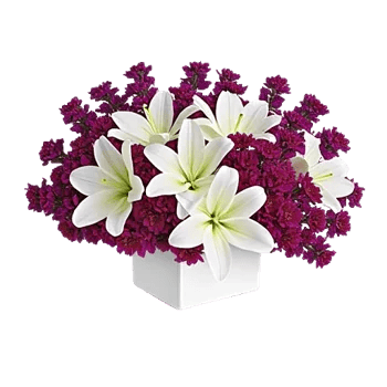 Graceful Lily Display