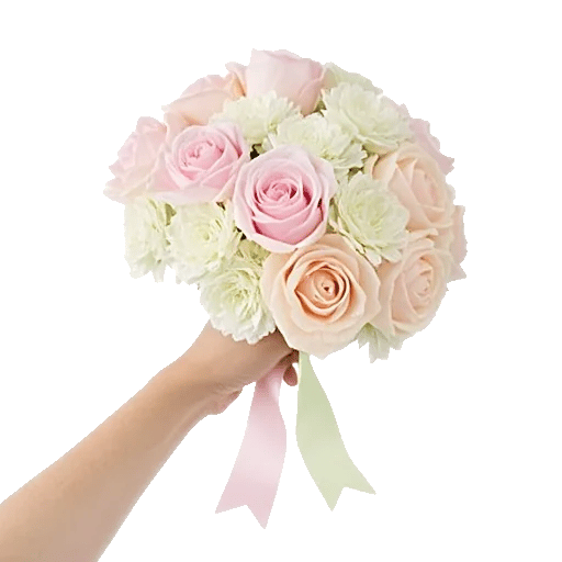 Pastel Pink Roses