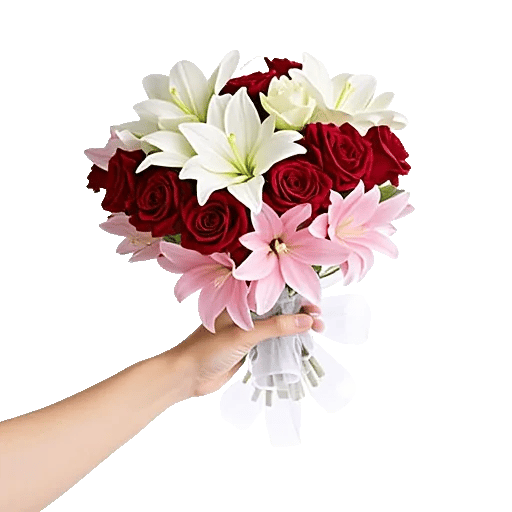 Blushing Rose Symphony