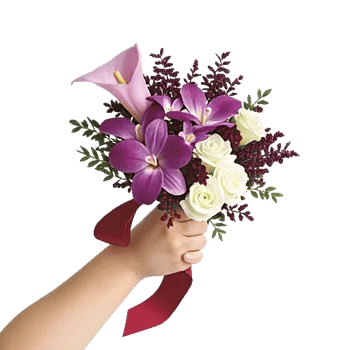 Elegant Calla Lilies