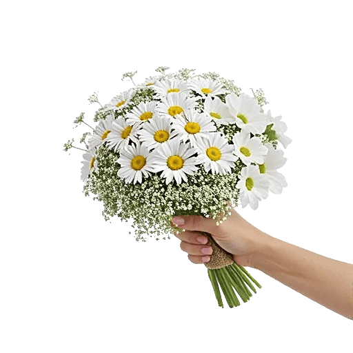 Blossom Petal Serenity