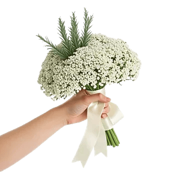 Ivory Garden Grace