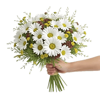 Daisy Meadow Spread