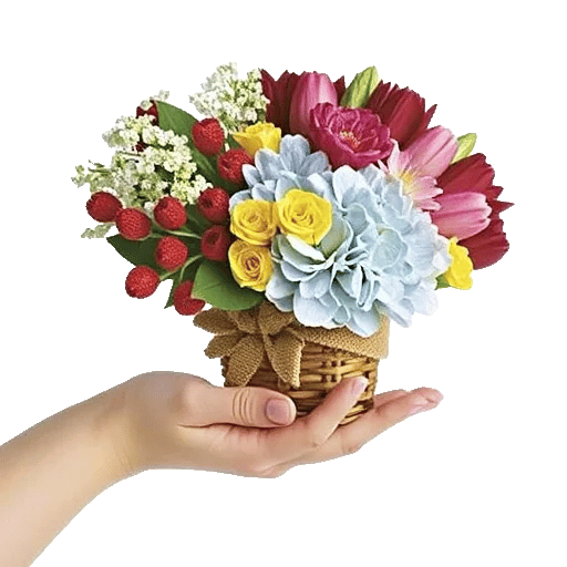 Blossom Harmony Display
