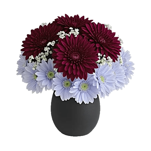 Crimson Blossom Harmony