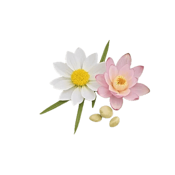 Graceful Lily Display