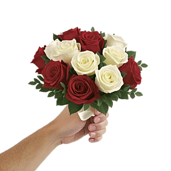 Crimson Rose Elegance