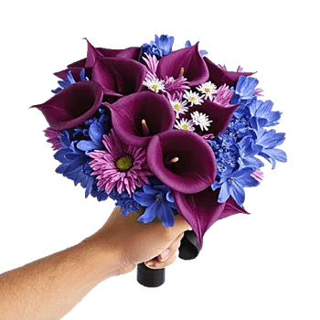 Elegant Calla Lilies