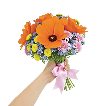 Petal Harmony Bliss