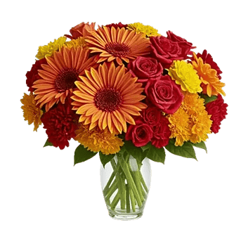 Petal Radiance Bliss