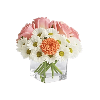Petal Harmony Bliss