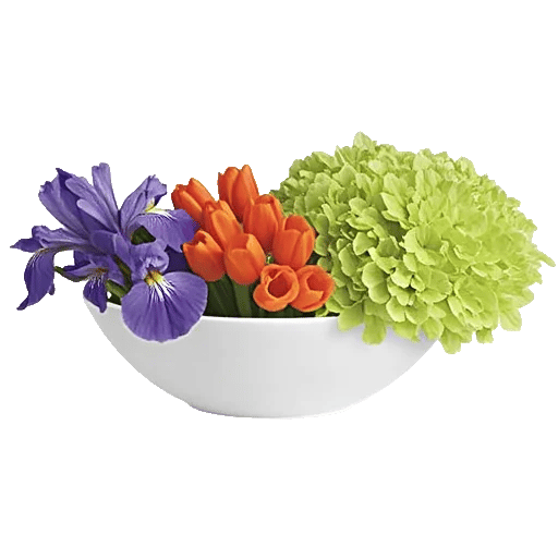 Ivory Blossom Radiance