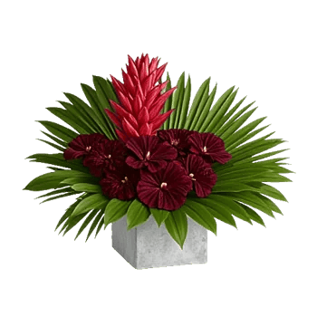 Deep Red Foliage