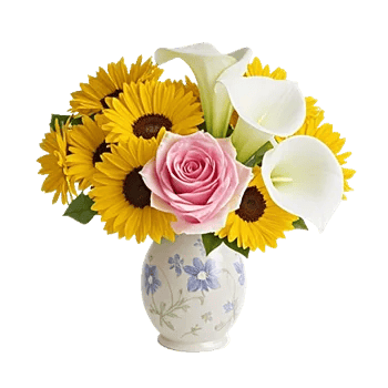 Radiant Rose Symphony