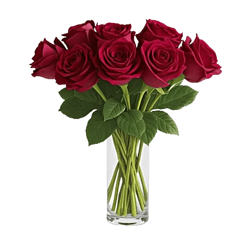 Crimson Rose Elegance