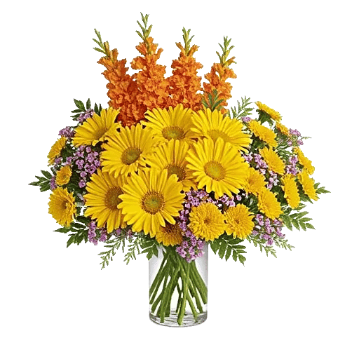 Radiant Bloom Cascade