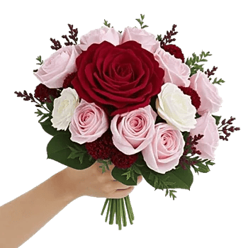 Crimson Rose Elegance