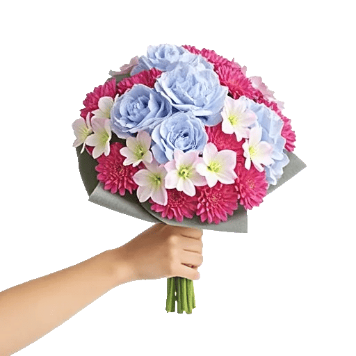 Serene Petal Harmony