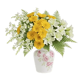 Ivory Blossom Radiance