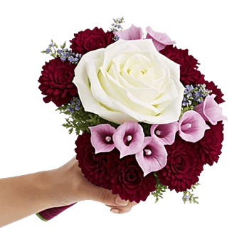 Elegant Calla Lilies