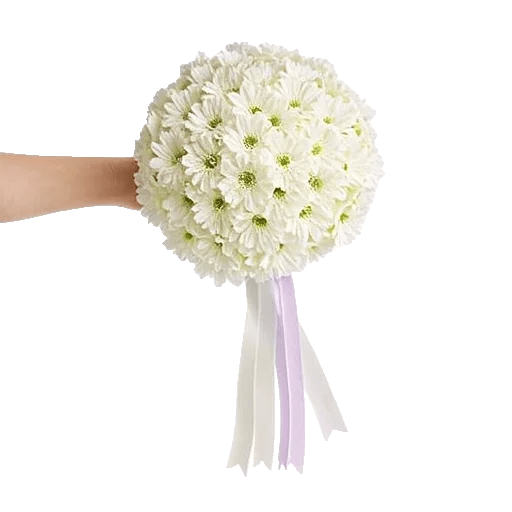 Delicate Petal Cascade