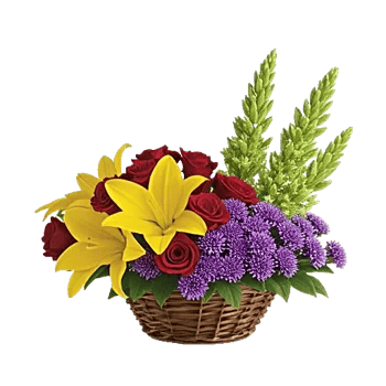 Blossom Harmony Display