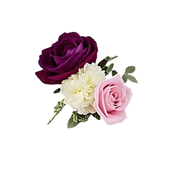 Delicate Petal Cascade