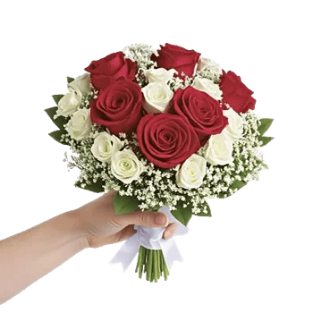 Crimson Rose Elegance