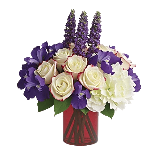 Ivory Blossom Radiance