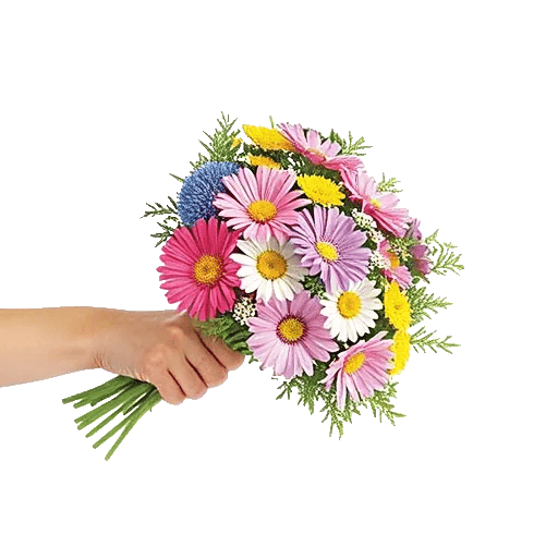 Blossom Petal Serenity