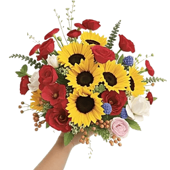 Petal Radiance Bliss