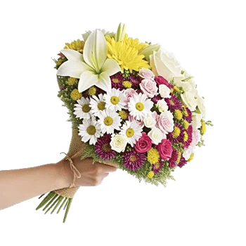 Petal Harmony Bliss