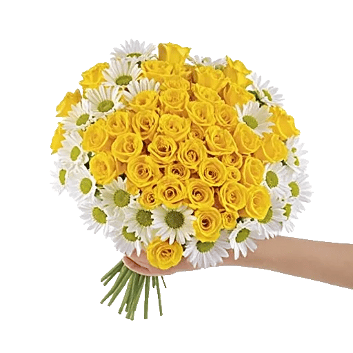 Petal Radiance Bliss