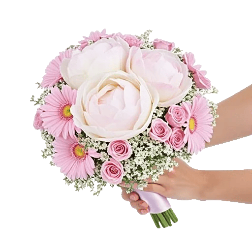 Peony Petal Harmony