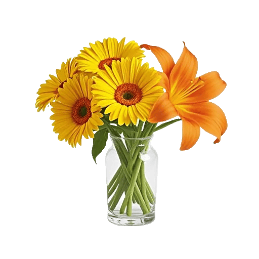 Petal Harmony Bliss