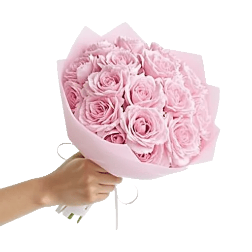 Pastel Pink Roses