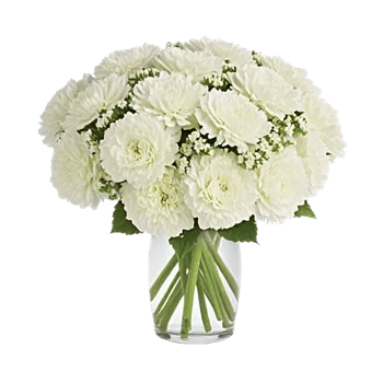 Delicate Petal Cascade