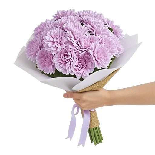 Petal Harmony Bliss