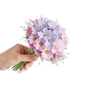Blossom Petal Serenity