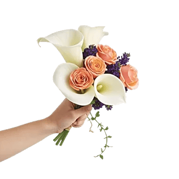 Elegant Calla Lilies