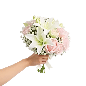 Ivory Blossom Radiance