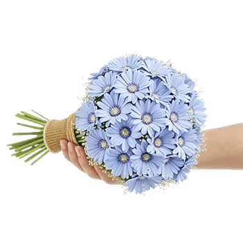 Blossom Petal Serenity